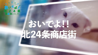 tn012a-6.jpg