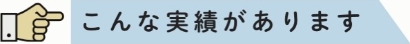 実績